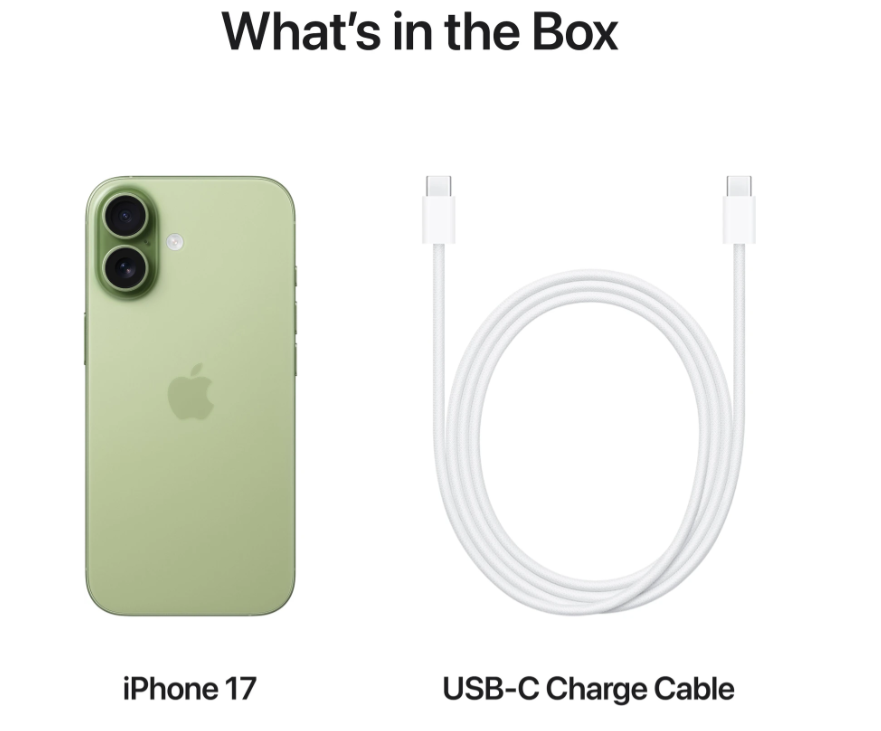 Apple iPhone 17 (Sage, 256 GB) view 8